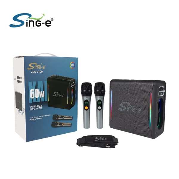 Wireless Speaker ZQS V100